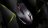 Bloody-V5M-mouse-48x28.jpg