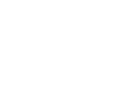 macro-400x333.png